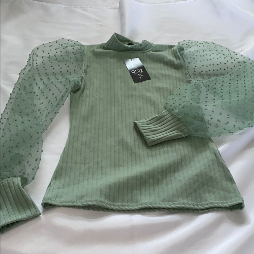 Green Mesh Sleeve Long Sleeve Top